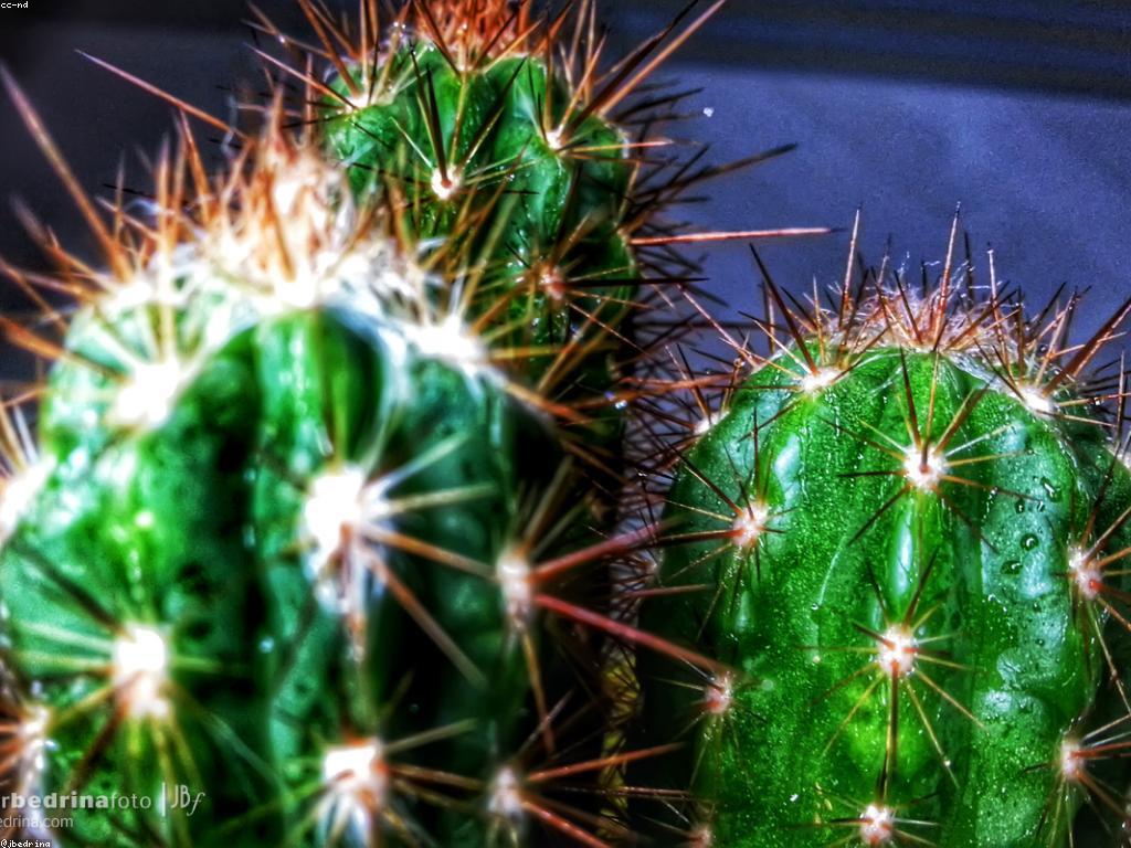 គន្លឹះការភ្នាល់: ការបង្កើនឱកាសឈ្នះរបស់អ្នក