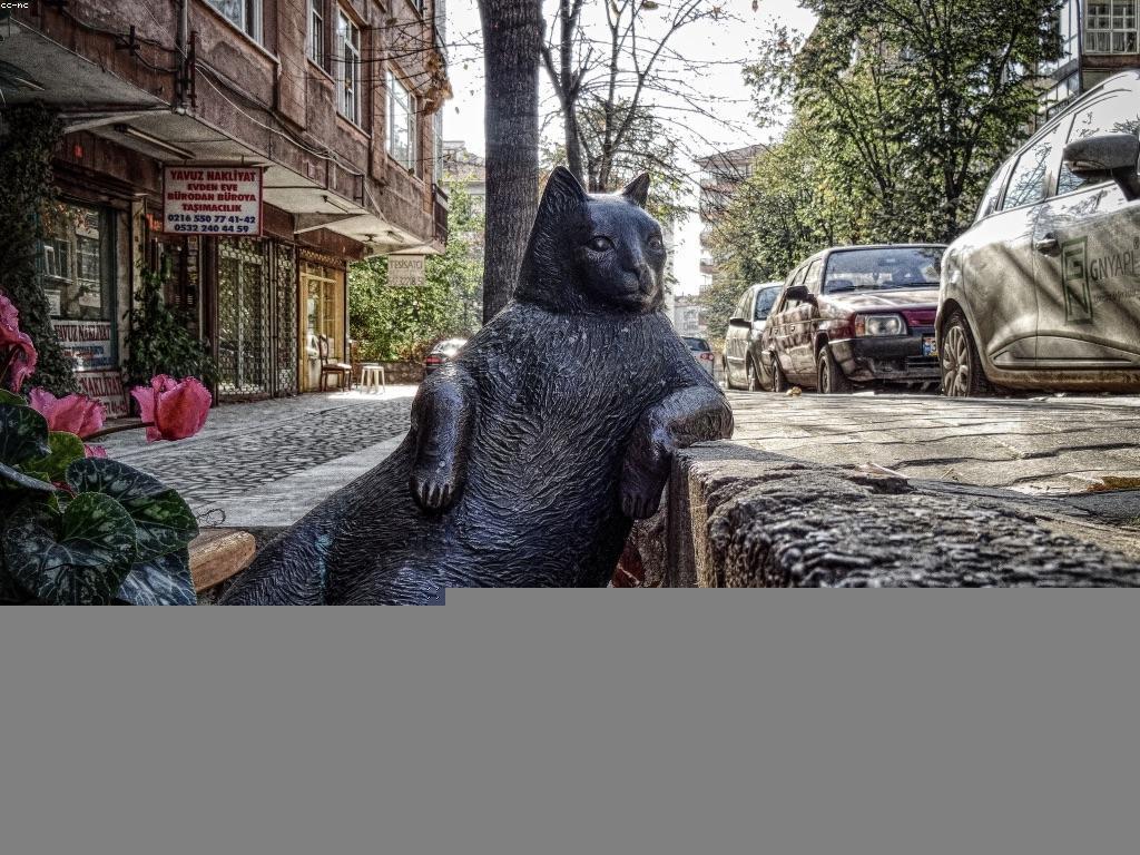 វិធីការភ្នាល់យ៉ាងឆ្លាតវៃ