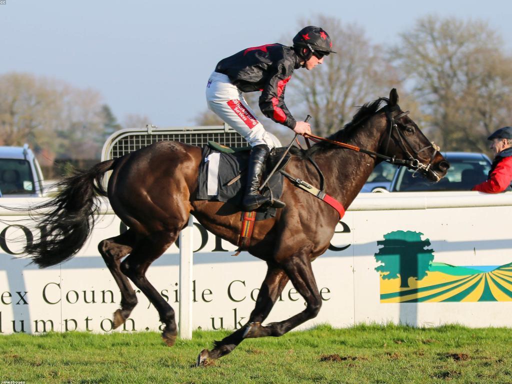 គន្លឹះការភ្នាល់: ការបង្កើនឱកាសឈ្នះរបស់អ្នក