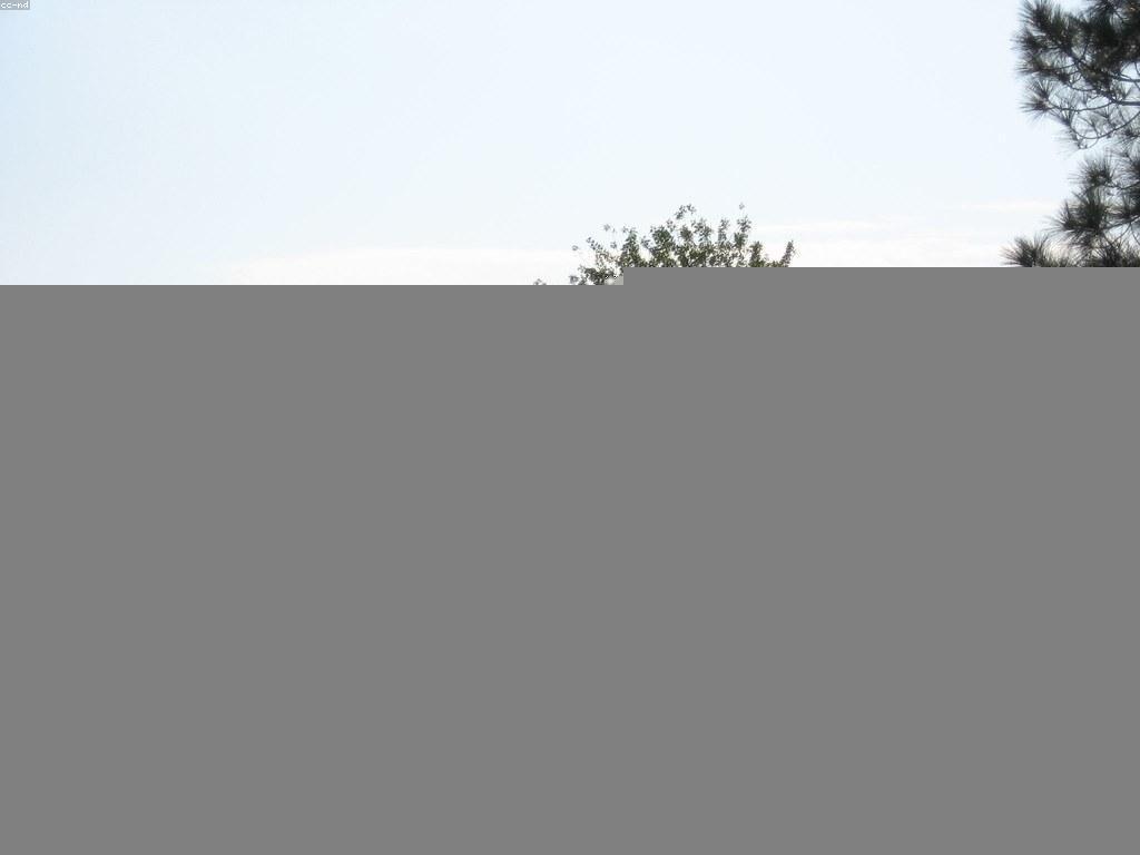 យុទ្ធសាស្ត្រសម្រាប់ការភ្នាល់ដើម្បីជោគជ័យ