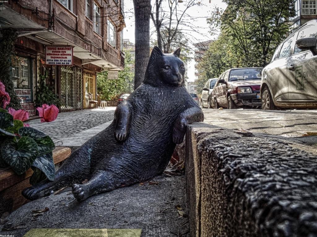 គន្លឹះការភ្នាល់: ផែនការ និងយុទ្ធសាស្រ្តបញ្ចូល