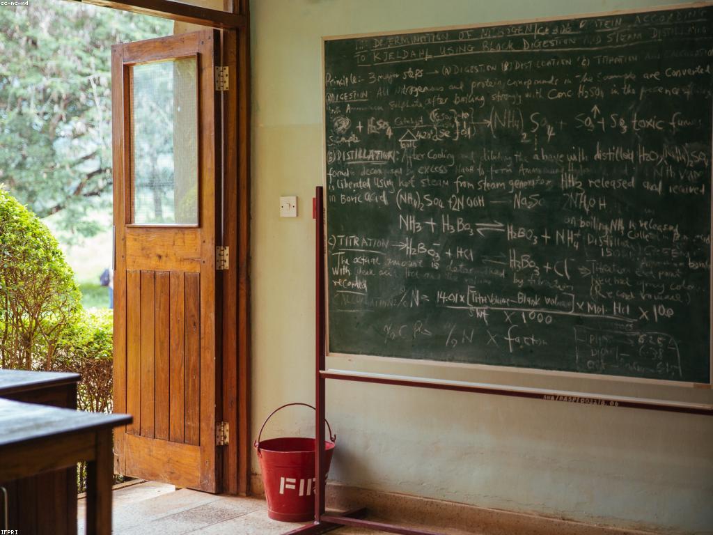 វិភាគលទ្ធផល: ការរៀនពីលទ្ធផលនៃសកម្មភាព